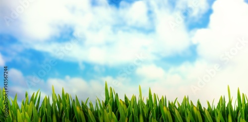 Fototapeta Naklejka Na Ścianę i Meble -  Composite image of grass growing outdoors