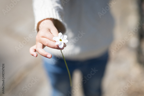白い花を手渡す子供