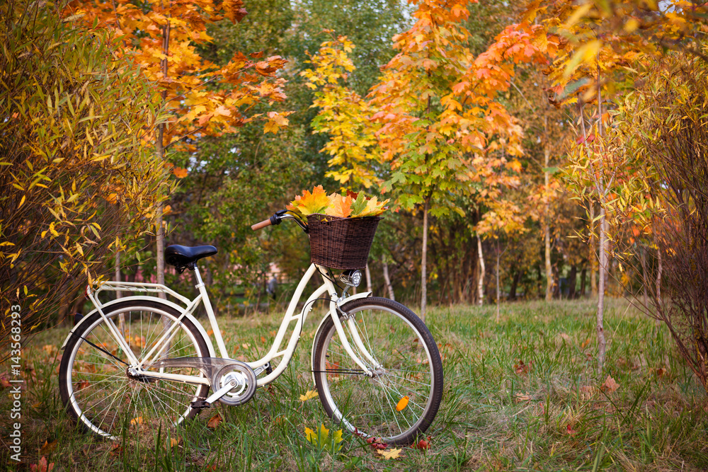 White retro style bicycle with basket with orange, yellow and green leaves, parked in the colorful autumn park