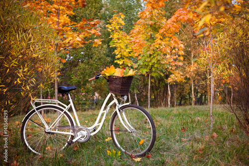 White retro style bicycle with basket with orange, yellow and green leaves, parked in the colorful autumn park