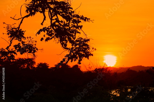 silhouette tree and sunset beautiful colorful landscape in sky twilight time