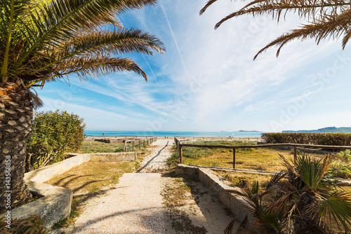 Fototapeta Naklejka Na Ścianę i Meble -  Palm trees by the sea in Simius beach