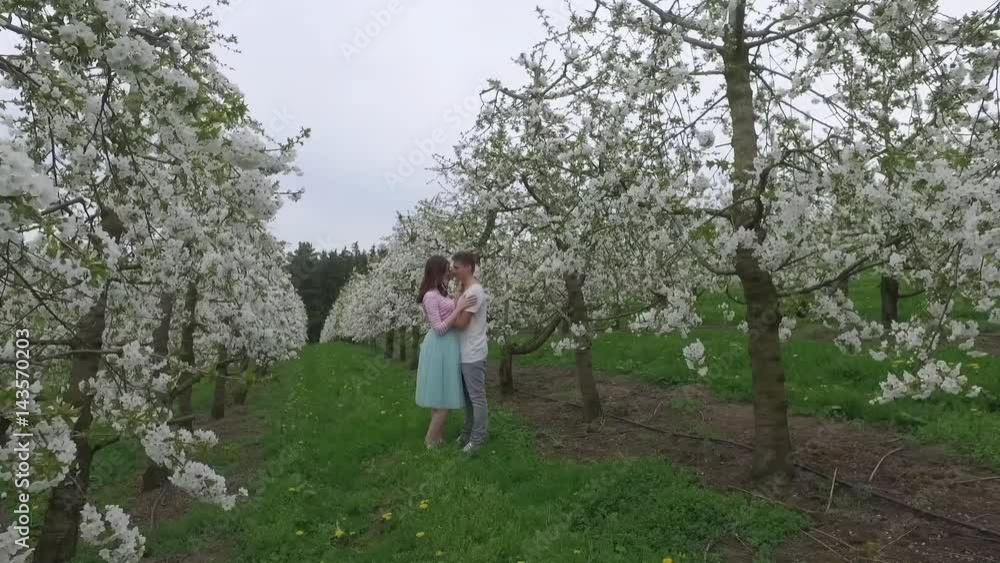 Junges verliebtes Paar im Kirschblütenfeld Junges verliebtes Paar im Kirschblütenfeld