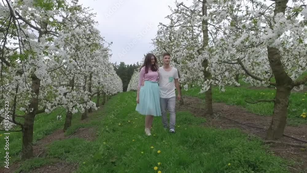 Junges verliebtes Paar im Kirschblütenfeld Junges verliebtes Paar im Kirschblütenfeld