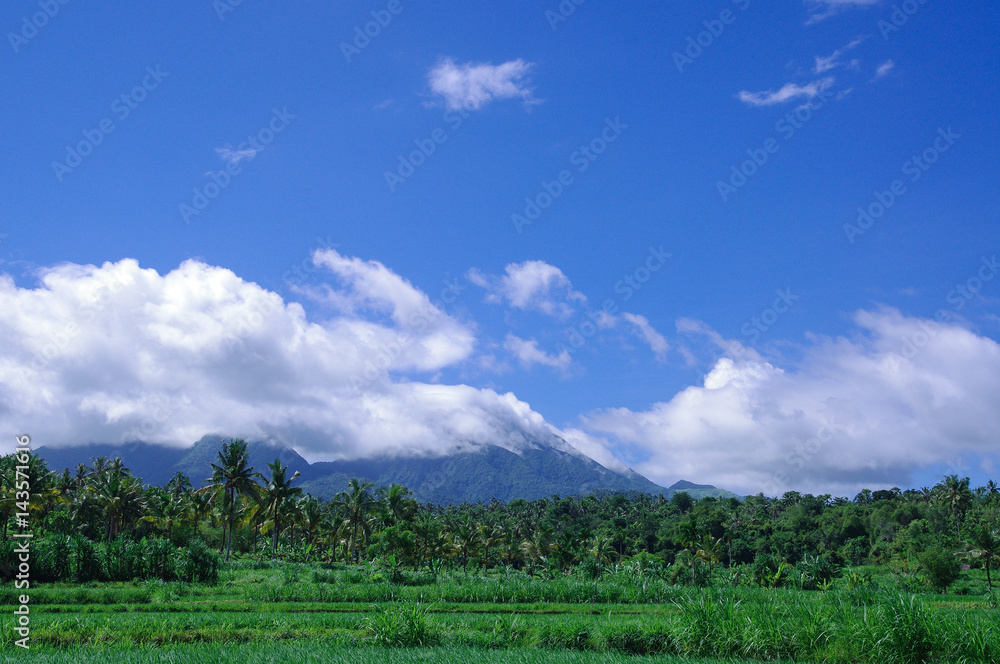 バリ島の風景 バリ島の風景