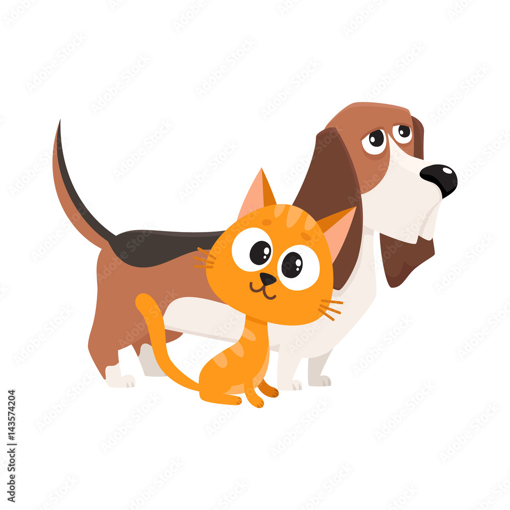 Basset hound dog and red cat, kitten characters, pets, friendship concept, cartoon vector illustration isolated on white background. Basset hound dog and red cat characters, friends