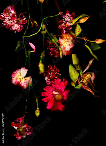 Alte rote Blumen und Nelken
