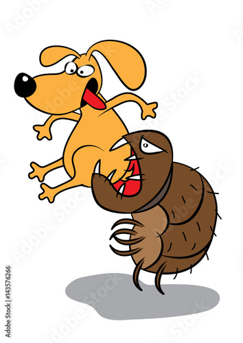 pet dog flea infestation attack