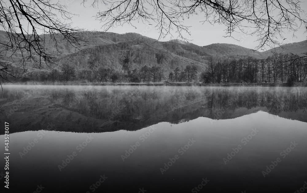 Fototapeta premium Early Morning Lake Fog with Tree Reflection in Water