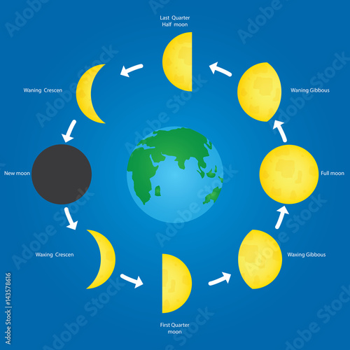 The Moon orbits Earth in the prograde direction Vector illustration