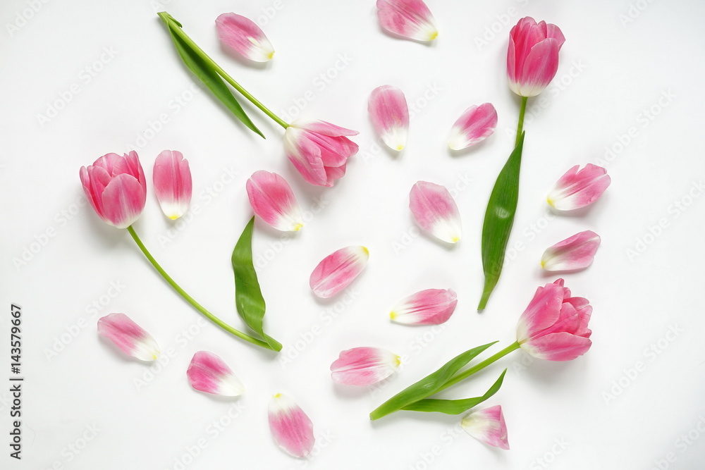 Floral pattern made of pink of tulip and petals on white background. Flat lay, top view. Pattern of flowers. Flowers pattern texture