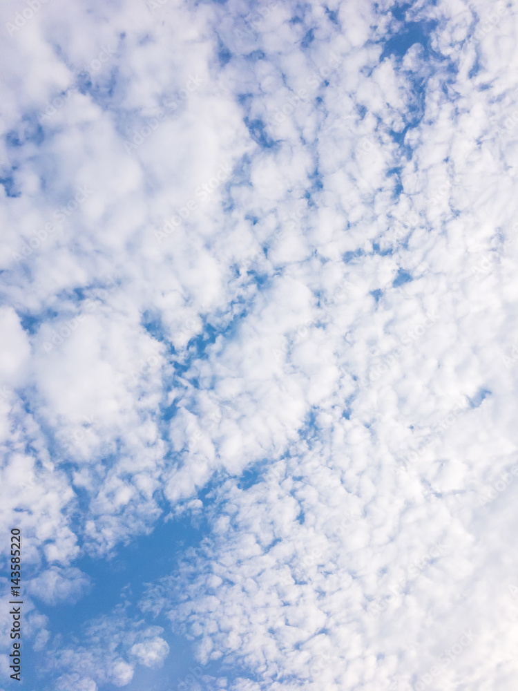 Fluffy cloud like the soft cotton.