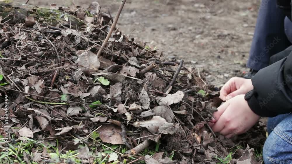 Teenagers make a bonfire of dry old leaves,Pollution of the environment Teenagers make a bonfire of dry old leaves,Pollution of the environment