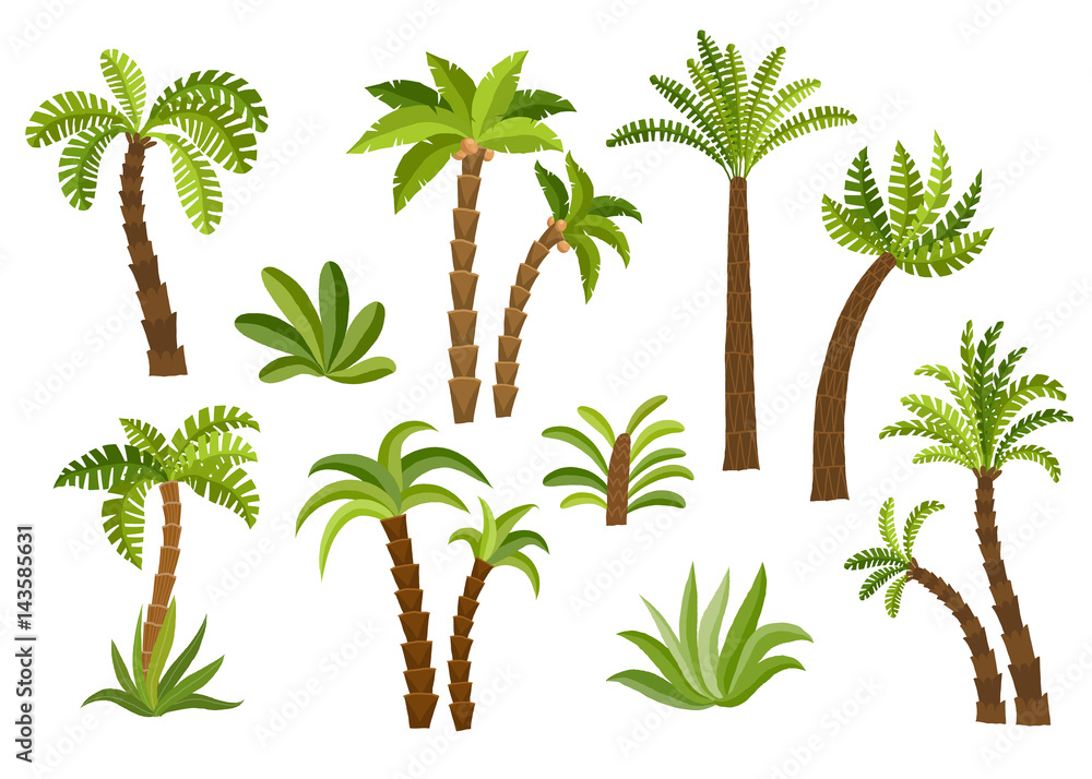 Decorative palm trees set.