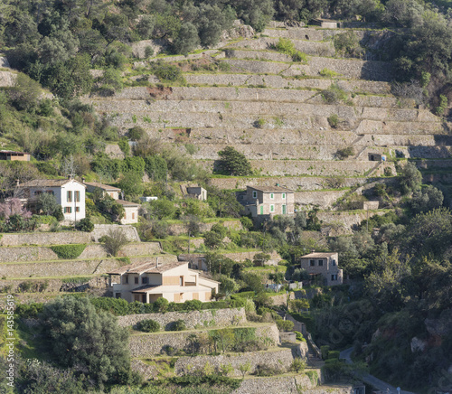 Banyalbufar landscape, Mallorca. Spain photo