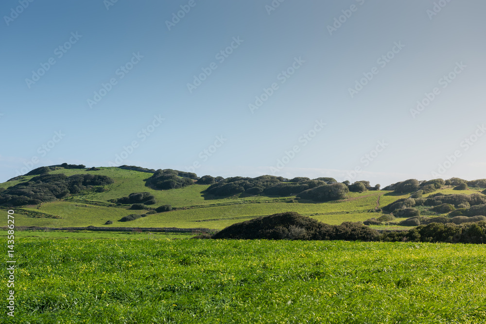 Landscape of green hills in Menorca. Spain