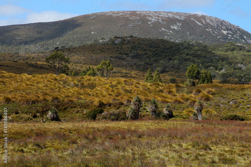 Obraz premium Landschaft Tasmanien