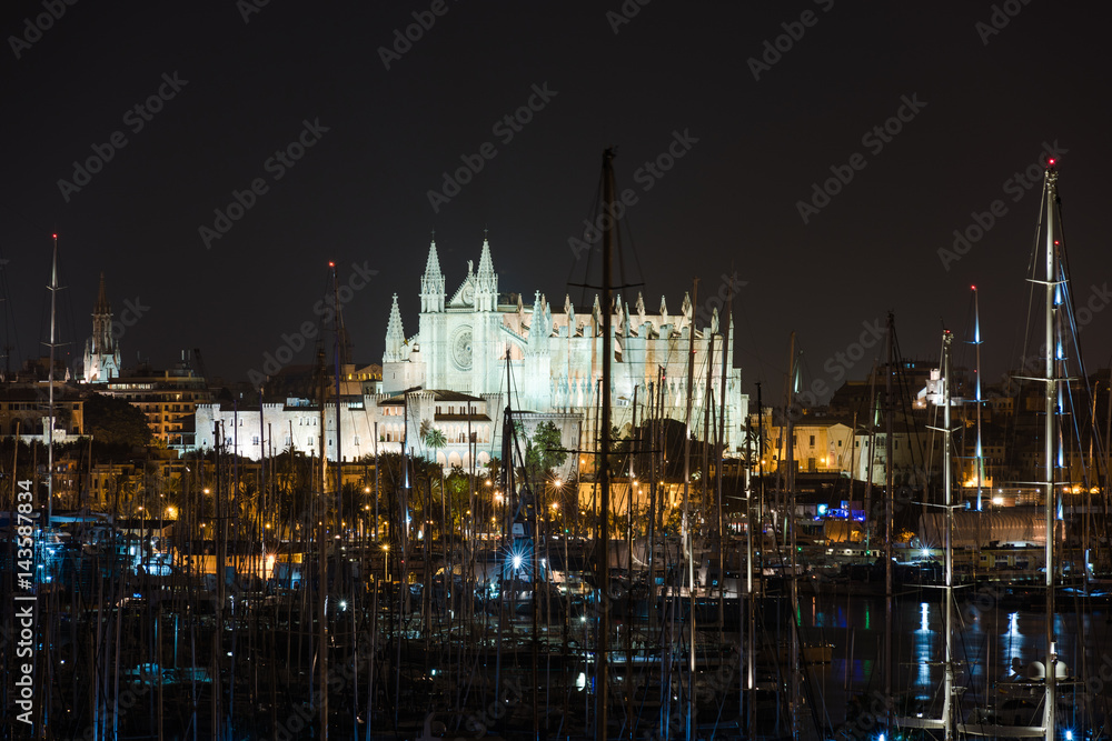 Cathedral and Palma bay by night. Mallorca. Spain