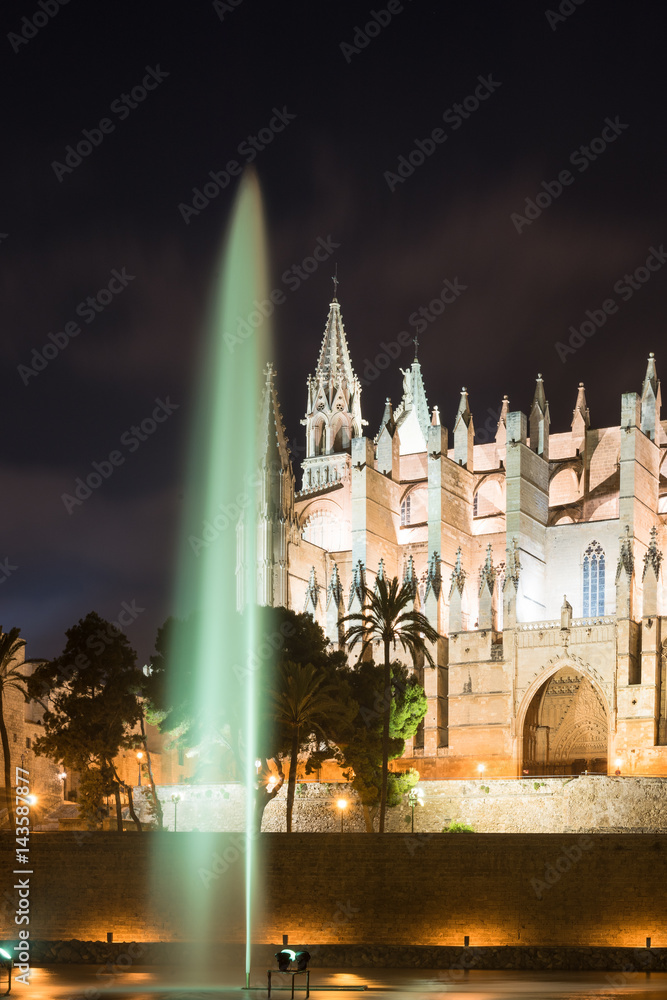 Cathedral of Mallorca by night. Spain