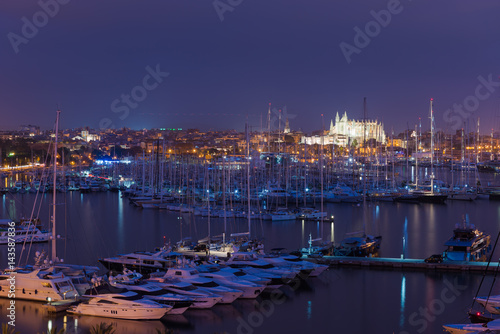 Palma bay at night. Mallorca. Spain