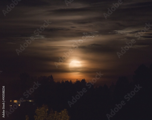 Moon in Cloudy Sky Over Trees