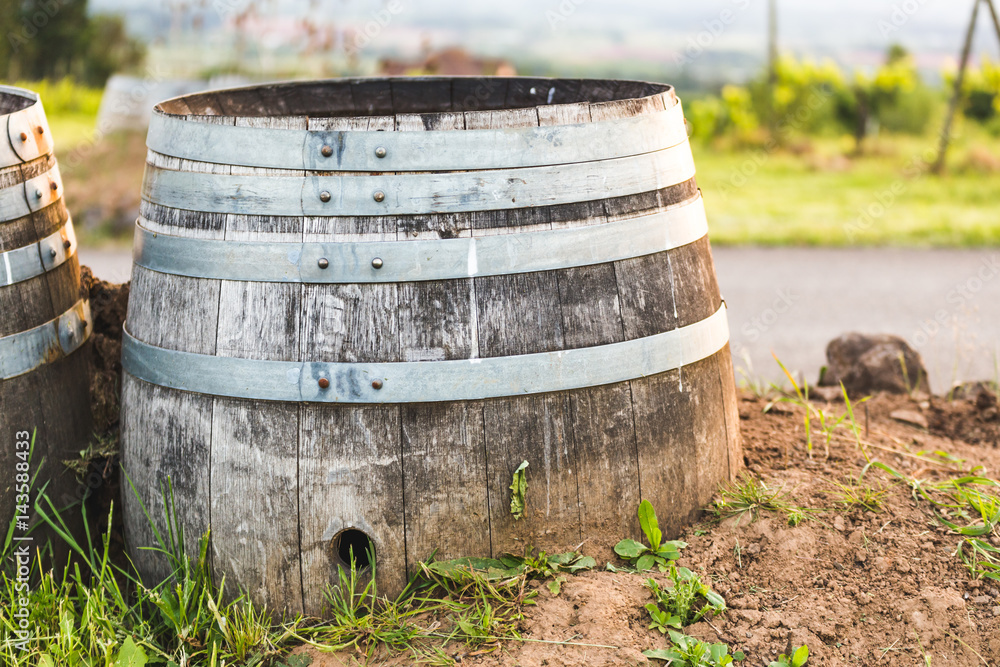 Decorative Wine Barrel at Vineyard Decorative Wine Barrel at Vineyard
