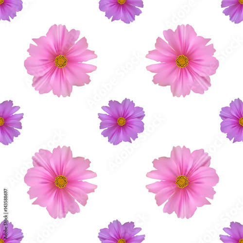 Seamless pattern with cosmos flower