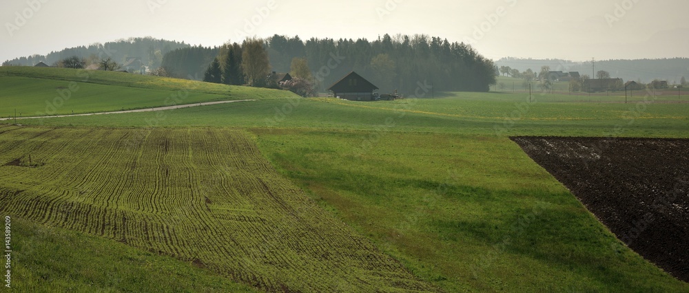 Naklejka premium printemps ...oberland zurichois