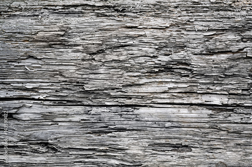 Wood texture close-up.