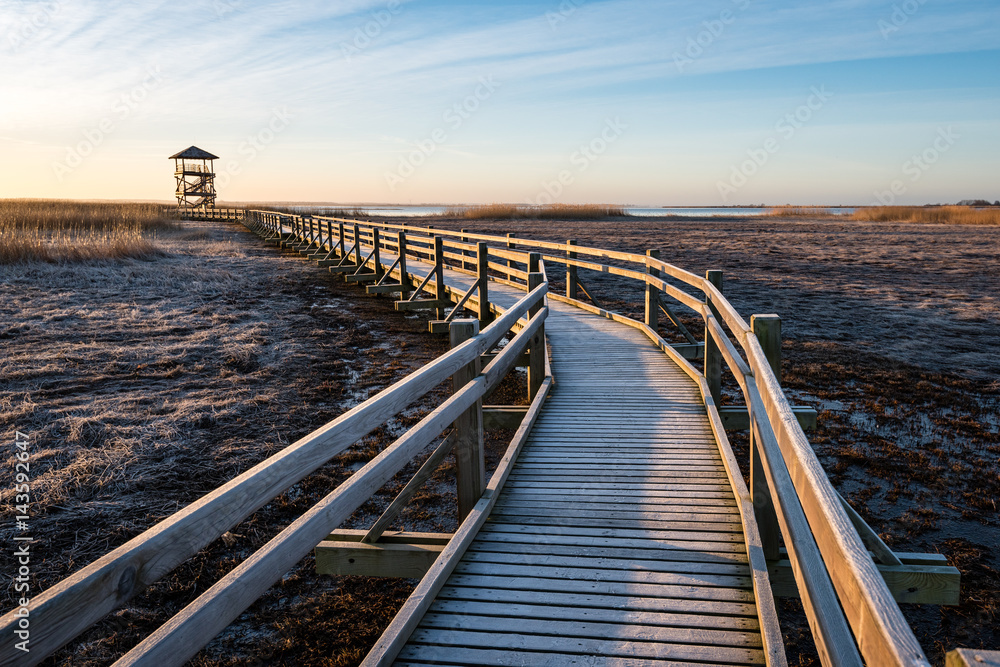 Fototapeta premium wooden boardwalk with bird watch tower in early morning