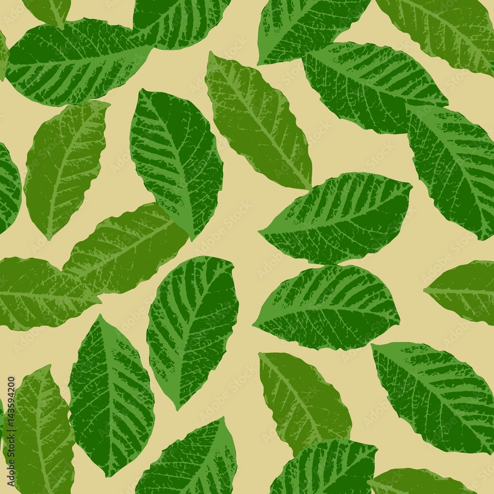 Seamless pattern from the leaves of coffee. Vector. Seamless pattern from the leaves of coffee. Vector.