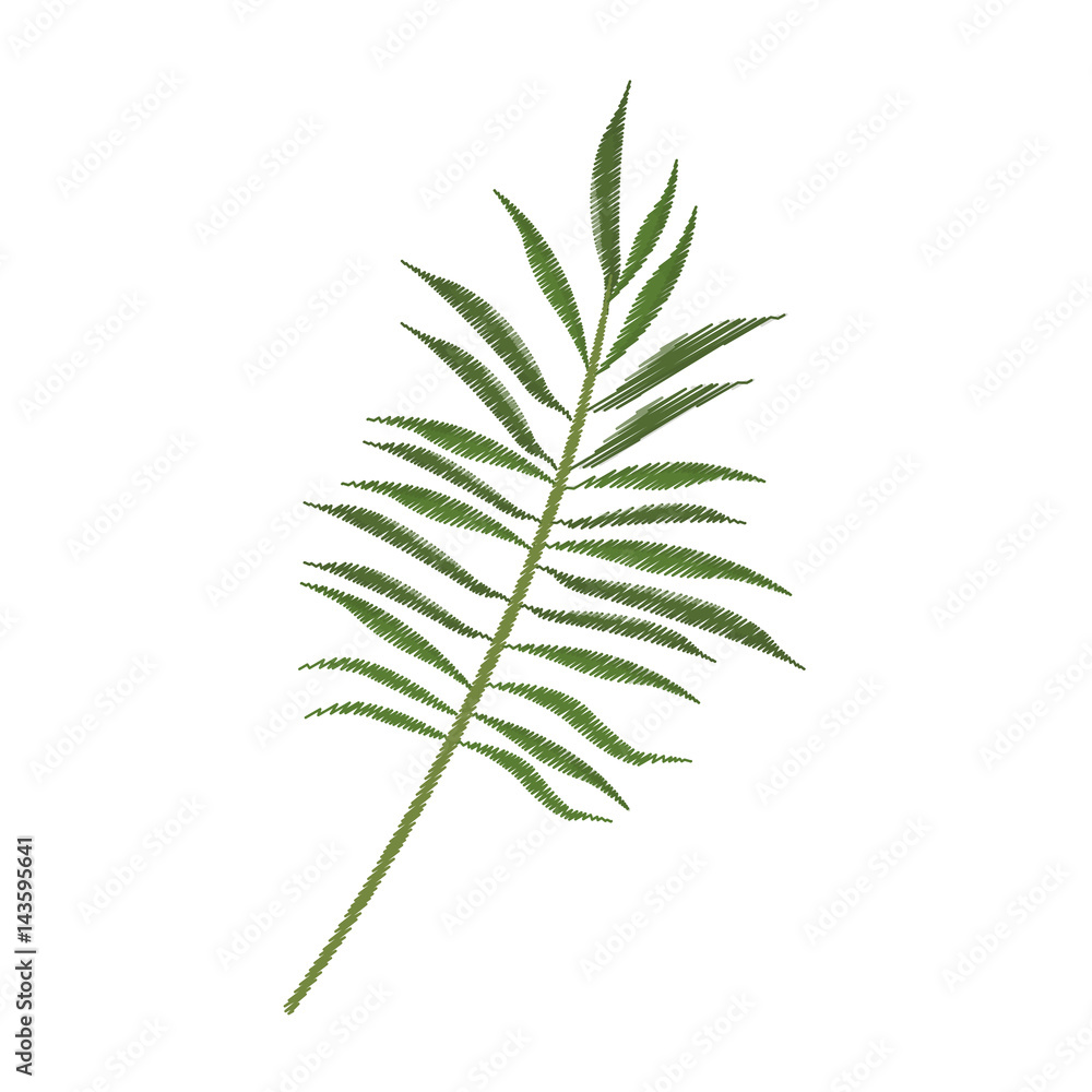 tropical leaf icon image vector illustration design tropical leaf icon image vector illustration design