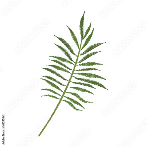 tropical leaf icon image vector illustration design 