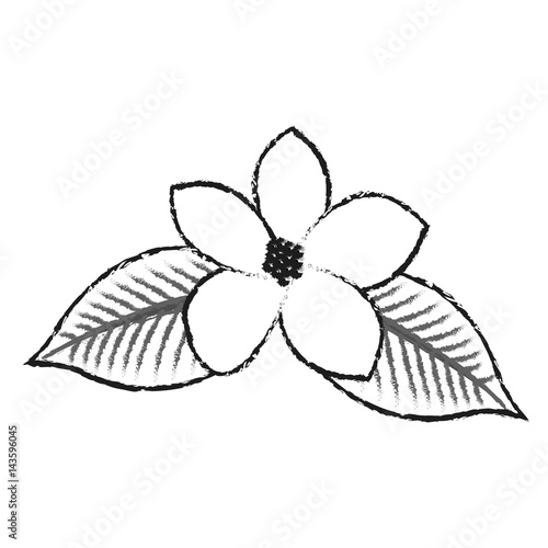 tropical flower icon image vector illustration design  © Jemastock