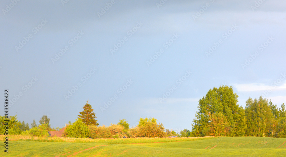 Beautiful spring landscape: green field and trees against the blue sky, panorama, nature