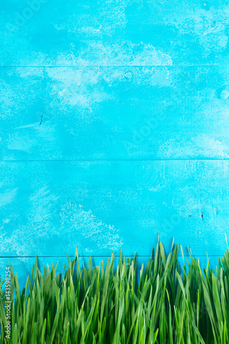 Green grass border on bright blue background with copy space