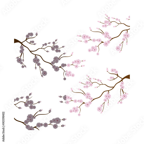 sakura japanese plant icon
