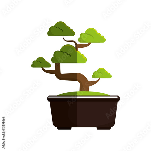 cute bonsai tree icon