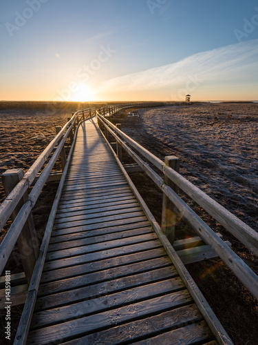 wooden boardwalk with bird watch tower in early morning © Martins Vanags