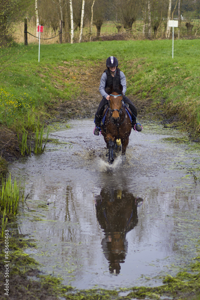 cross county horse jumping over bars by teenager girl
cross county horse jumping over bars by teenager girl