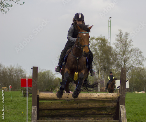 cross county horse jumping over bars by teenager girl 