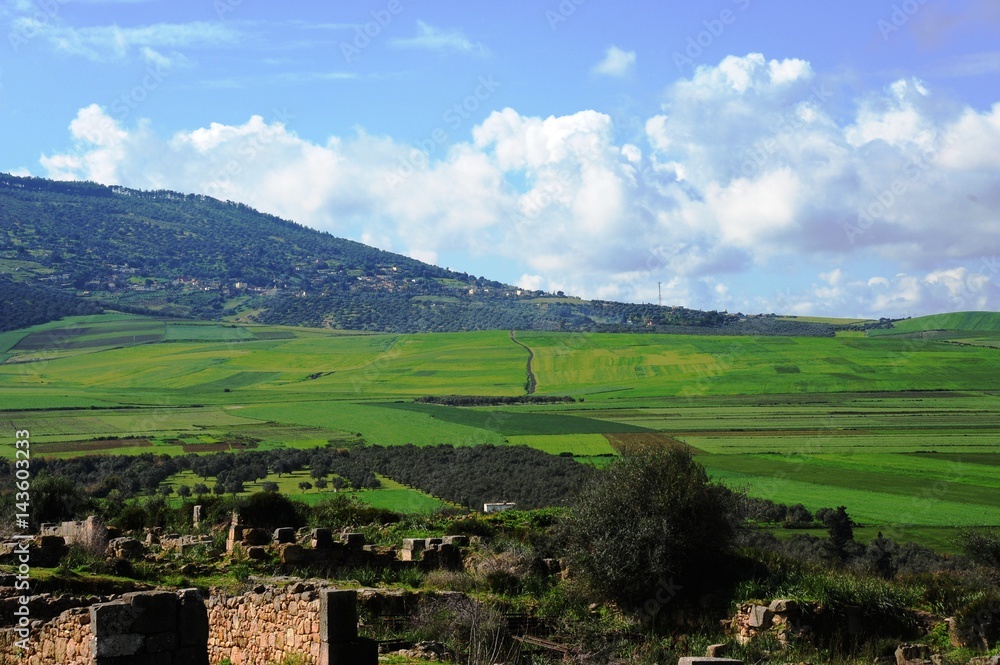 Fototapeta premium フェズからメクネスまで