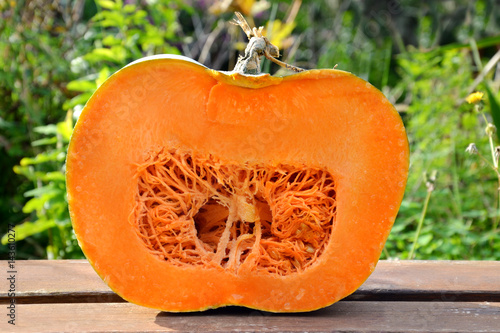 Cross section of a pumpkin isolated on nature background