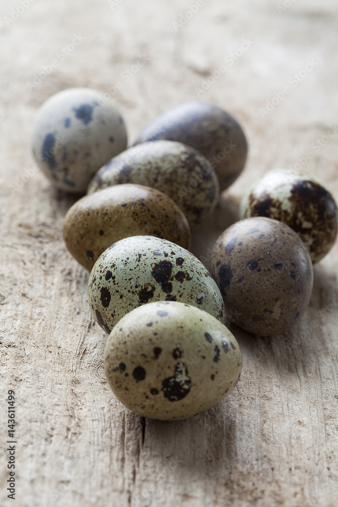 Obraz premium quail eggs