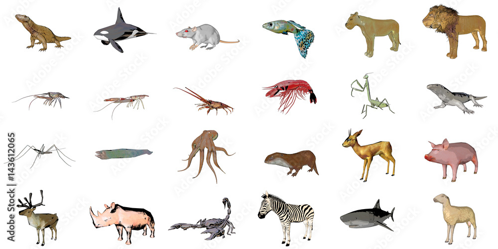 Big collection of sketch animals isolated on white 3d rendering Big collection of sketch animals isolated on white 3d rendering