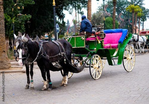 Carriage, driving horses in Marrakesh, Morocco