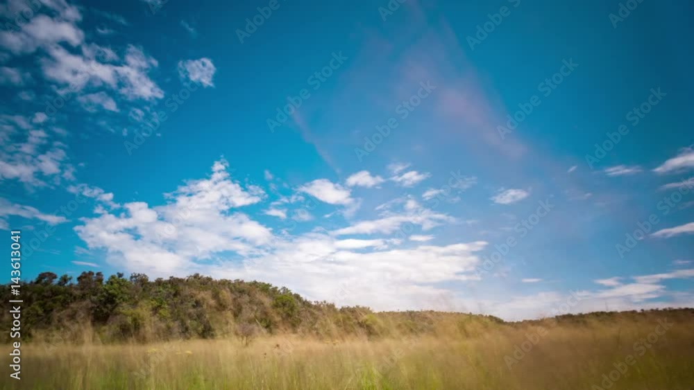 Slow, push-in linear daytime timelapse between tall grass with a mountain against a blue sky with a few scattered clouds forming, moving in different directions available on request. Slow, push-in linear daytime timelapse between tall grass with a mountain against a blue sky with a few scattered clouds forming, moving in different directions available on request.
