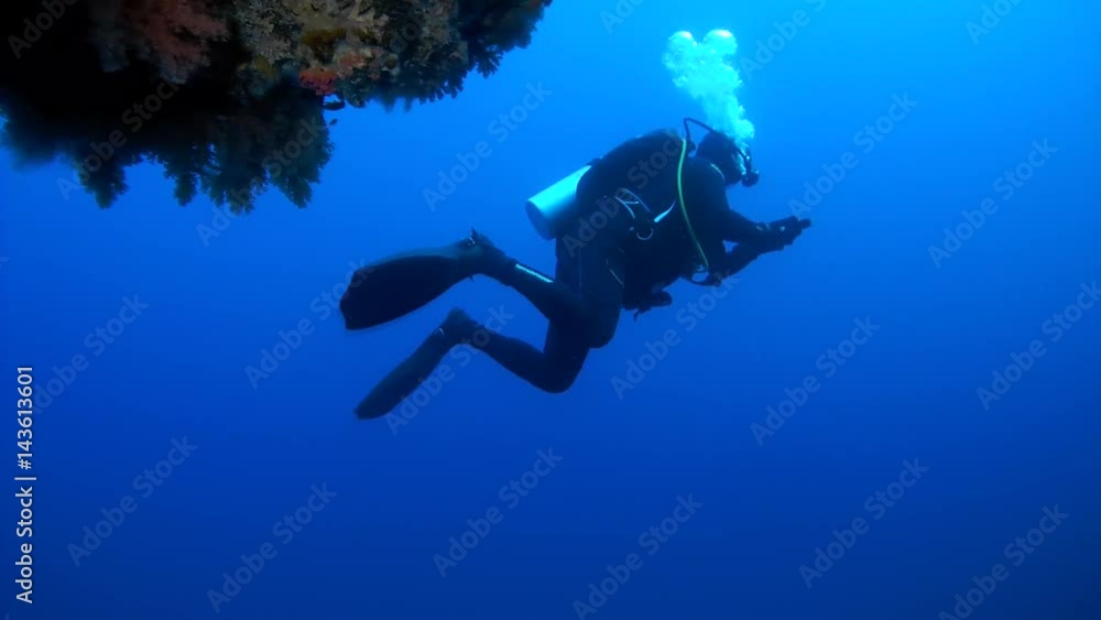 male scuba diver looks at a beautiful coral reef with soft corals, Indian Ocean, Maldives
male scuba diver looks at a beautiful coral reef with soft corals, Indian Ocean, Maldives