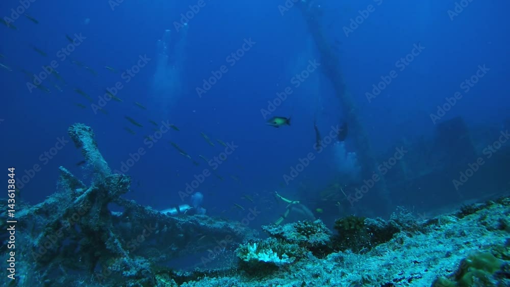 Scuba divers and school of fish is floating on the wreck - Indian Ocean, Maldives
Scuba divers and school of fish is floating on the wreck - Indian Ocean, Maldives