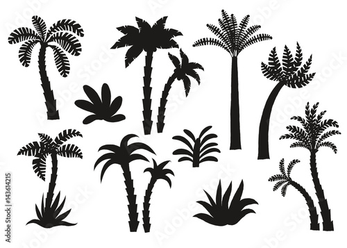 Palm tree black silhouettes set.